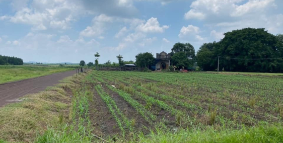 Cần ra gấp lô đất long thành đồng nai