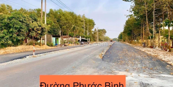 Nhà đầu tư tiếc hùi hụi khi không đầu tư vào lô đất mặt đường Phước Bình 32m.