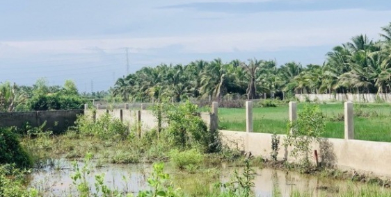 Bán đất MT thổ cư đường Phạm Thái Bường - Nhơn Trạch 16tr/m2