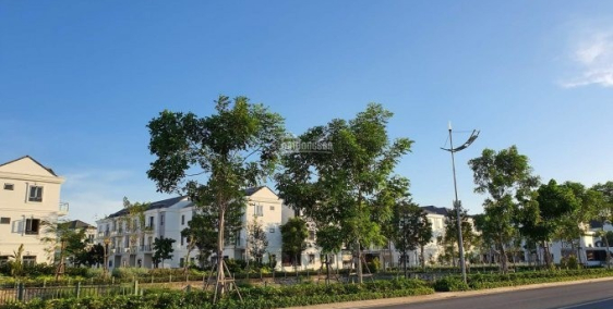 2 MT nội bộ ĐS 4, đối diện Simcity, P. Trường Thạnh, Q.9, DT: 30x35, 1.011 m2