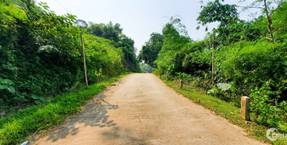 đất nền giá rẻ  Trán Voi, Quốc Oai – cạnh dự án đại lộ Bắc Nam- đường oto