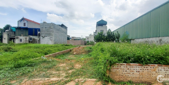 ĐẤT QUỐC OAI GIÁ CHỈ 11 TRIỆU VNĐ/M² ( giá thị trường tại khu vực là 12 triệu/m²