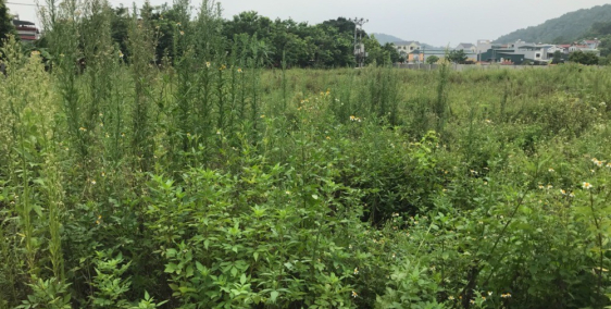 Chuyển nhượng lô đất công nghiệp 4000m2 ngay cạnh KCN Tiên Sơn, mặt đường  nhựa