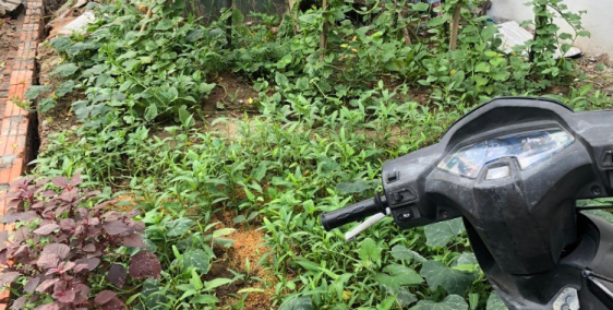 đất thổ cư tại phú diễn gần hồ tượng đài 38M2 lh: 0982877495