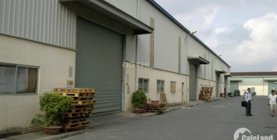 Chuyển nhượng đất công nghiệp và nhà máy sản xuất – đường TS3  KCN Tiên Sơn, DT