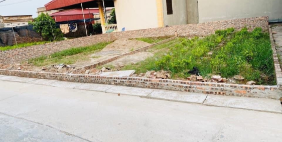 Bán 160m đất ở toàn bộ đường 7m Hoàng Trạch - Mễ Sở