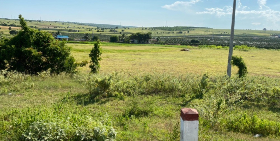 Cần bán gấp lô đất vườn, sổ đỏ có đường trên sổ, cạnh khu trồng tràm