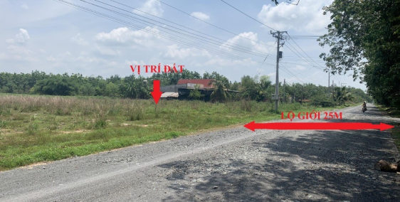 Đất diện tích lớn 500m2 có thổ cư 100m2 mặt tiền đường nhựa tại Chơn Thành