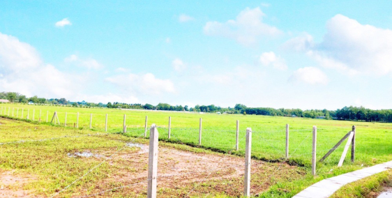 Bán mảnh đất Củ Chi 500m với sổ hồng riêng ngay Tỉnh lộ 7 huyện Củ Chi