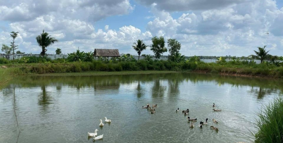 Đất Củ Chi , diện tích lơn , SHR sang tay .