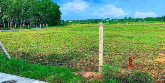 Cần bán mảnh đất vườn Củ Chi SHR 500m ngay Tỉnh lộ 7 An Nhơn Tây Củ Chi