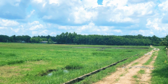 Cần sang lại lô đất 500m ngay Tỉnh Lộ 7 An Nhơn Tây Củ Chi giá chỉ 1,7 triệu/m2