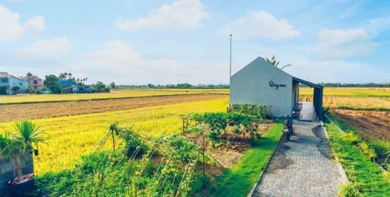 Cần Sang Lô Góc Mặt Tiền 753 ra Tỉnh Lộ 7 200m