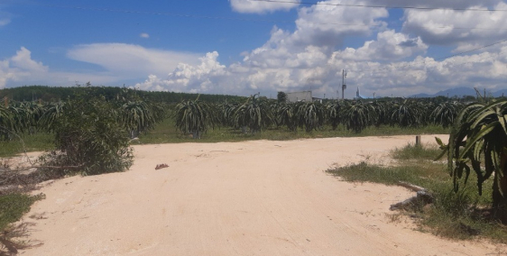 Bán đất sào gần biển, giá mềm tại thị xã La gi, Bình Thuận