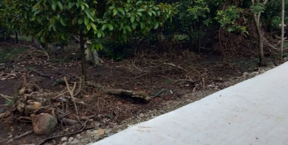 Cần bán gấp Đất Chính Chủ 4048 m2 tp  long khánh , đồng nai