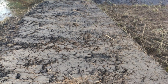 Bán đất Phước Khánh - Nhơn Trạch 800 triệu / công