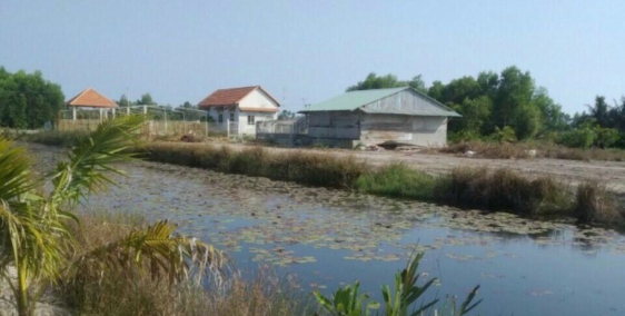 Đất Phước Khánh nhà vườn, gần đường Cát Lái, giá 1tr8/m