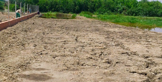 Đất Nhơn Trạch, Phước Khánh, đất cây lâu năm, gần 25c, đường ô tô