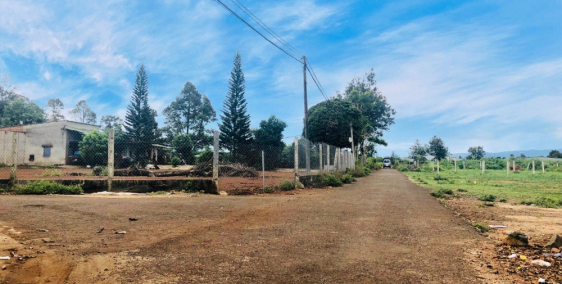 ĐẤT RẺ ĐƯỜNG PHẠM NGỌC THẠCH 45 TRIỆU/M NGANG