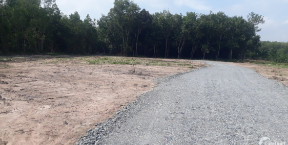 Đất ngay Khu Vsip 2, Vĩnh Tân giá rẻ dành cho nhà đầu tư 350m2 chỉ hơn 650tr.