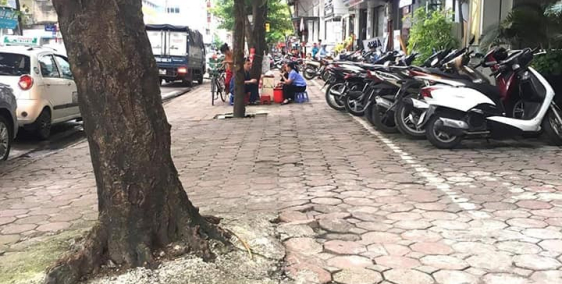 Biệt thự Phố Cổ Hoàn Kiếm, Thông phố Tràng tiền, Trần Hưng Đạo chỉ đợi duy nhất