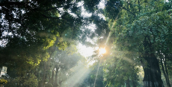 Bán biệt thự Vườn Tùng Ecopark. 0944 866 678  Võ Nguyên