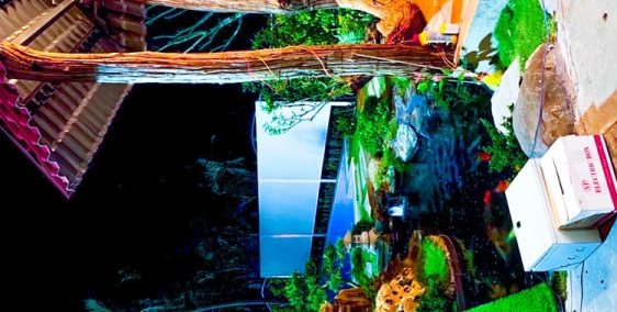 Biệt Thự Nhà Vườn Bà Rịa Vũng Tàu , Nhà đẹp ,