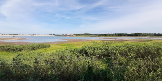 BÁN GẤP LÔ ĐẤT MẶT TIỀN TỈNH LỘ 8 GIÁ RẺ NHẤT HIỆN NAY