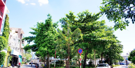 Biệt Thự P.Tân Sơn Nhì (8x18m) 1 Hầm 1 Lửng 2 Lầu ST, Ngay công viên - Giá 16 tỷ