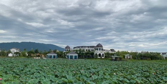 Biệt thự 5*  giữa đảo sen có bể khoáng nóng tại biệt thự