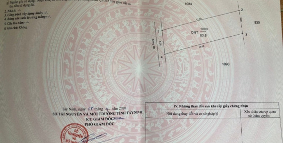 Đất thổ cư gần bệnh viện Xuyên Á, Gò Dầu,Tây Ninh,giá bán nhanh 295tr hết đất.