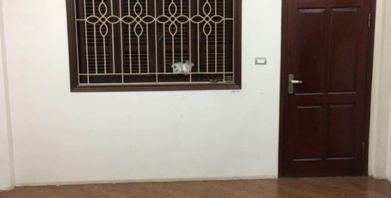 Bán mặt phố Nguyễn Ngọc Nại 50m2x 5T MT4.2m chỉ 6.3 tỷ oto đỗ cửa