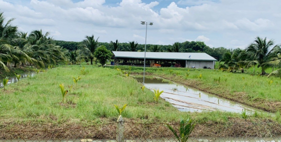 Cần Sang Nhượng Gấp 504m2 Đất Thổ Vườn, đối diện trường Tiểu Học Nhuận Đức