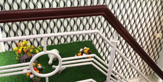 Bán gấp nhà giá rẻ Nguyễn Trãi 33m2 chỉ 4.1 tỷ 0913777008