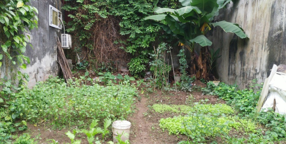 Bán gấp thửa đất Thụy Phương, nợ hậu, ngõ thông rộng 60m2, 5.6m 2.18 tỷ.