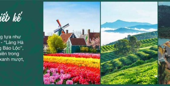 BẢO LỘC GREENWICH - NGÔI LÀNG HÀ LAN THU NHỎ TRONG LÒNG BẢO LỘC