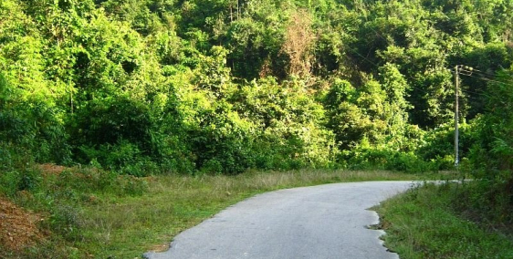 Bán đất thổ cư trồng cây ăn quả hoặc cây công nghiệp giấy tờ chính chủ, giá rẻ p