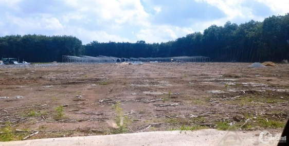 khách ký gửi đất view sông 350m2 giá 420tr