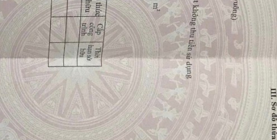 Bán đất khu Thanh Liễu, Tân Hưng, Hải Dương, 103m2, mt 4.25m, 1.17 tỷ