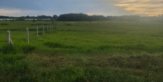 BÁN 800M2 ĐẤT XÃ PHÚ HÒA ĐÔNG GIÁ 500TR