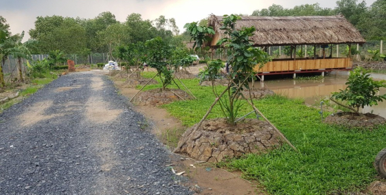 369m2 đất Củ Chi, sổ hồng riêng sang nhượng nhanh 438tr