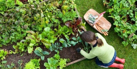 Bán miếng đất vườn đẹp gần UBND Nam Hà- Đà Lạt chỉ 1,4 triệu/m2