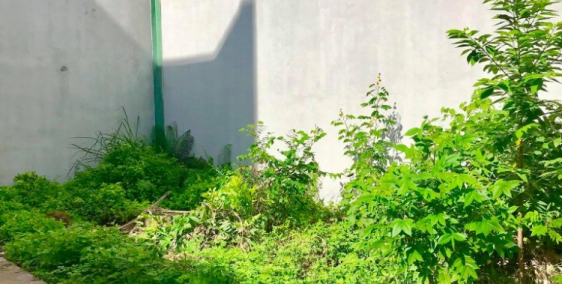 ĐẤT LÔ GÓC HAI MẶT TIỀN CÁCH MẶT ĐƯỜNG WORLD BANK 30M CẦN BÁN. LH 0396 855 673