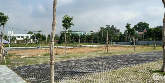 BÁN ĐẤT NỀN có SỔ ĐỎ TẠI phường ĐỒNG TÂM tp VĨNH YÊN