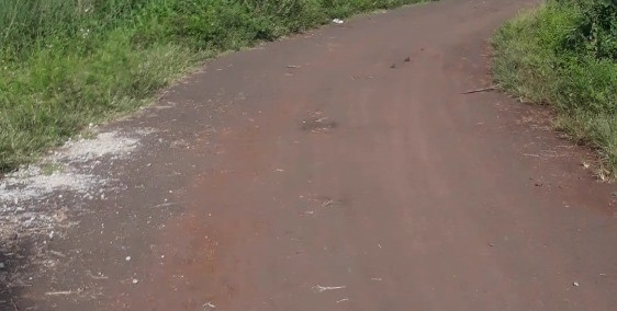 Bán lô đất làm nhà xưởng, kho chứa