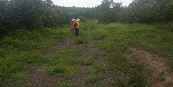 Chồng bệnh nặng cần tiền điều trị nên bán gấp lô đất vườn