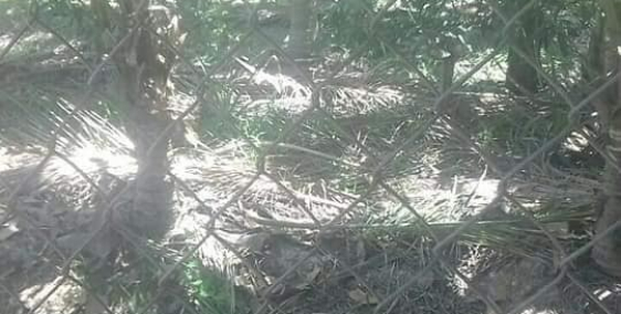 ĐẤT VƯỜN GIÁ RẺ 4700M2  THÍCH HỢP ĐẦU TƯ GHĨ DƯỠNG