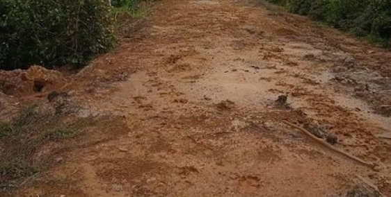 HƠN 8 MẪU ĐẤT MỸ THẠNH TÂY 700Tr/MẪU GIÁ CHỐT