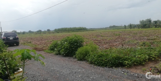 đất vườn, đường xe hơi tới đất