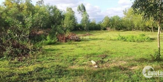 Bán đất đường vườn thơm bình chánh  ra tỉnh lộ 10 300m